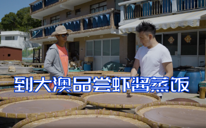 【在家当旅客】到香港大澳买虾酱尝虾酱蒸饭
